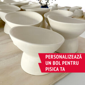 Pictează un bol personalizat pentru pisica ta
