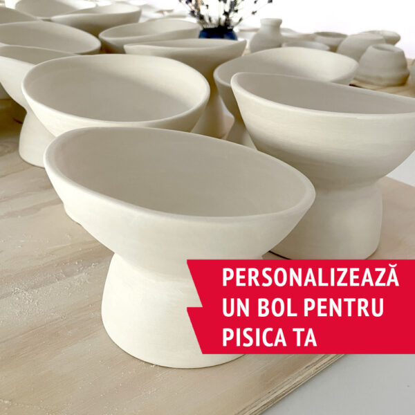 Pictează un bol personalizat pentru pisica ta